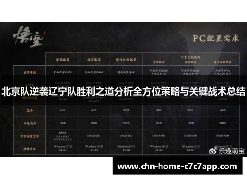 北京队逆袭辽宁队胜利之道分析全方位策略与关键战术总结
