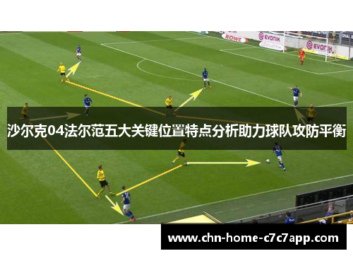 沙尔克04法尔范五大关键位置特点分析助力球队攻防平衡