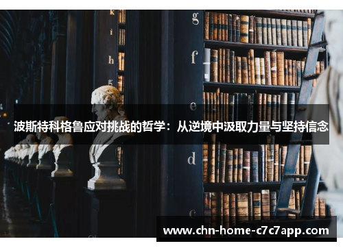 波斯特科格鲁应对挑战的哲学：从逆境中汲取力量与坚持信念