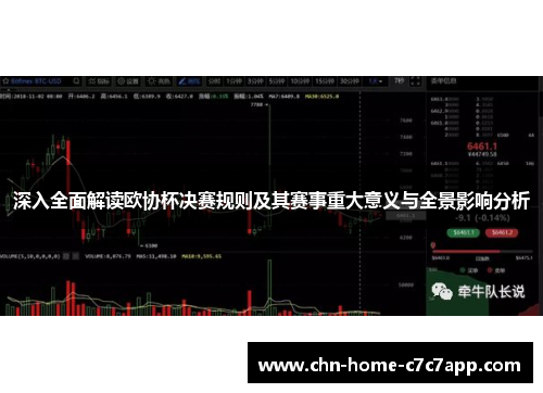 深入全面解读欧协杯决赛规则及其赛事重大意义与全景影响分析