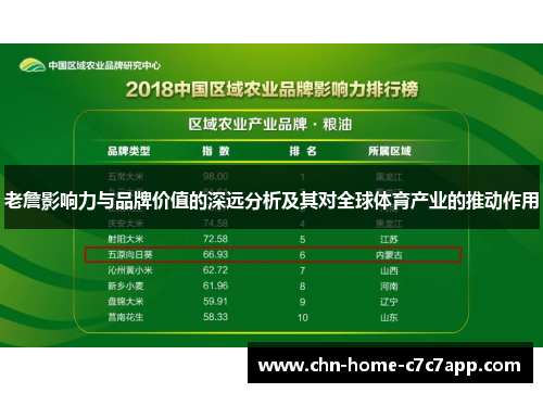 老詹影响力与品牌价值的深远分析及其对全球体育产业的推动作用