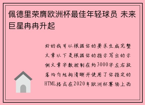 佩德里荣膺欧洲杯最佳年轻球员 未来巨星冉冉升起
